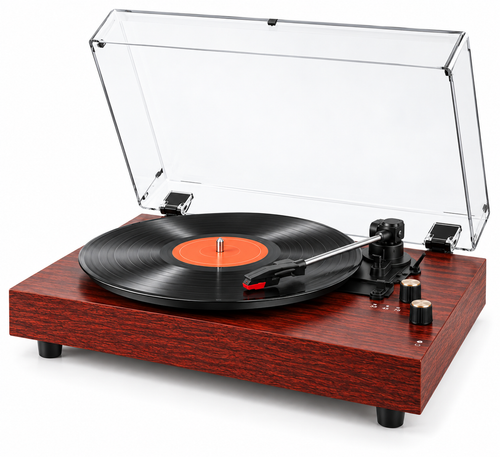 Platine Vinyle en Bois avec Capot Transparent