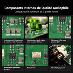 Fosi Audio BOX X5 – connectique